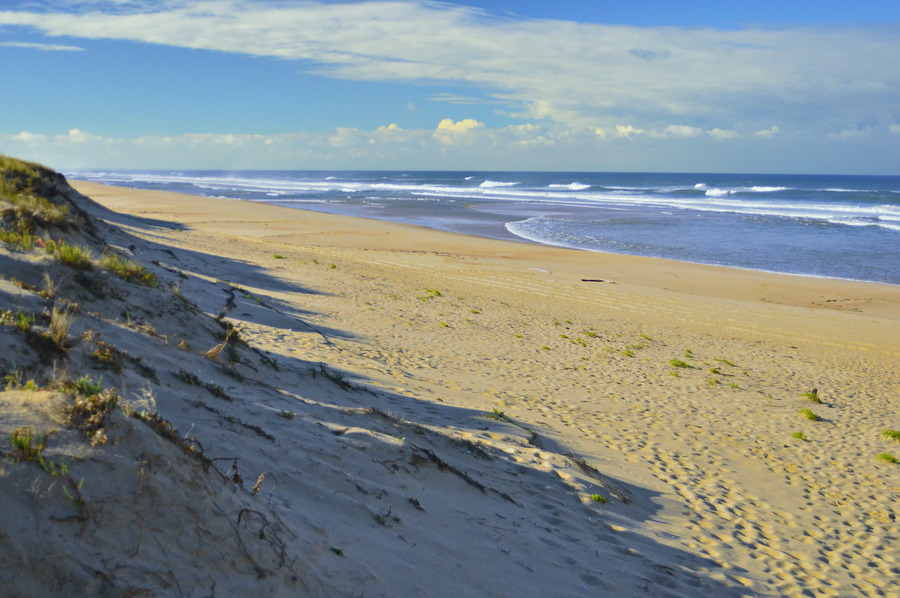 Cap Ferret #39